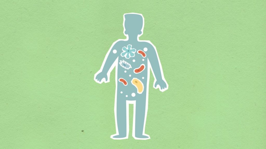 From above of cutout cardboard illustration of person with different bacteria spreading in body on green background