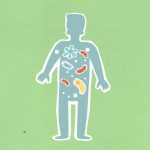 From above of cutout cardboard illustration of person with different bacteria spreading in body on green background